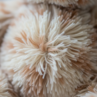 Plush Fur Texture Close-up