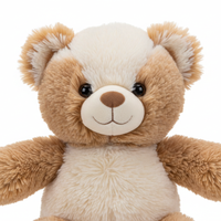 Teddy Bear Front View