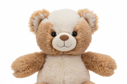 Teddy Bear Front View